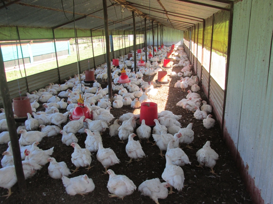 Commercial Property for Sale in Macleantown Eastern Cape